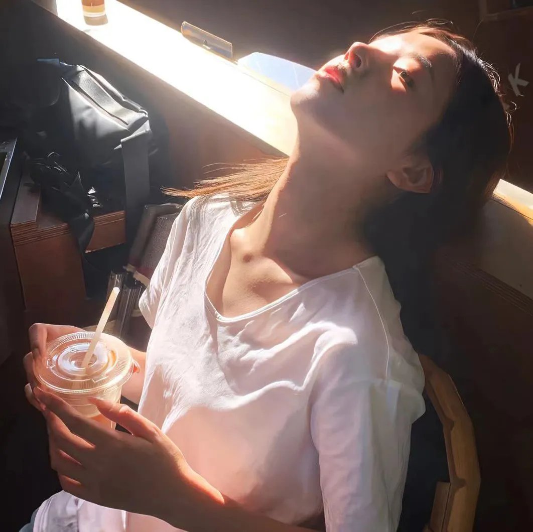 龙鱼追鲨令